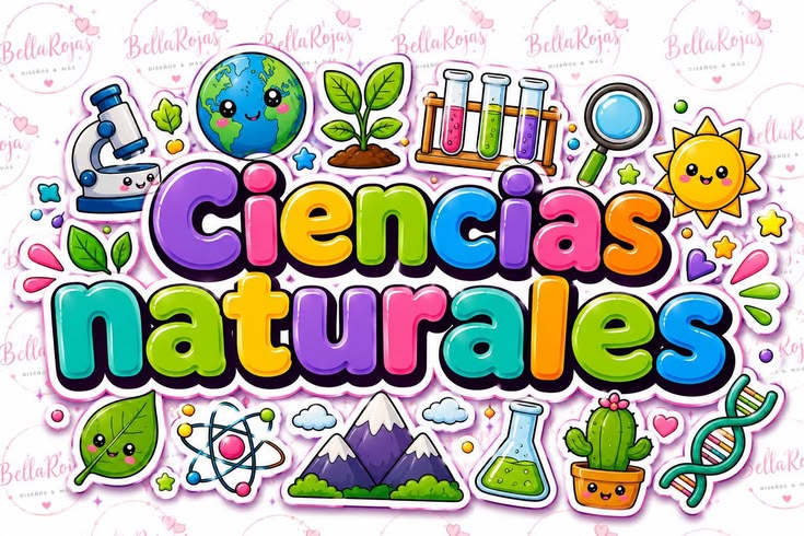 CCNN - 4to EGB