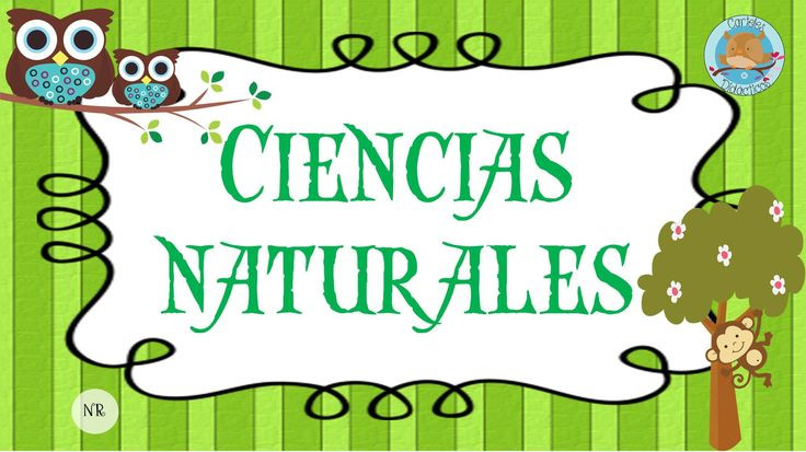 5TO-EGB-CIENCIAS NATURALES 