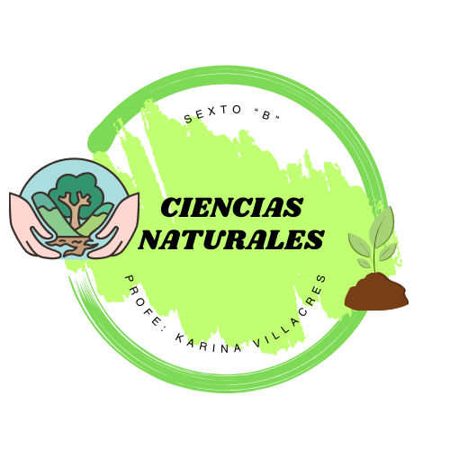 6TO-B-CIENCIAS NATURALES 